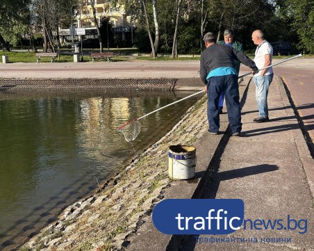 Започна ваденето на мъртвата риба от Гребната база, не е установено замърсяване във водата