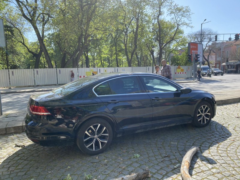 Огромен клон се стовари върху кола в центъра на Пловдив