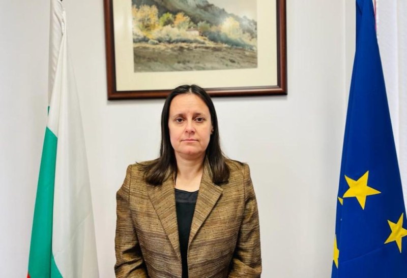 Арх. Деляна Панайотова е освободена от длъжността началник на Дирекцията за национален