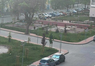 Кърлежи са налазили цял квартал в Пловдив Читатели на TrafficNews