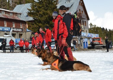 Близо 30 кучета преминаха планинско обучение за спасяване на хора