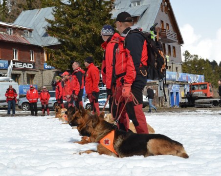 Планински кучета се учиха да спасяват пострадали хора в планината