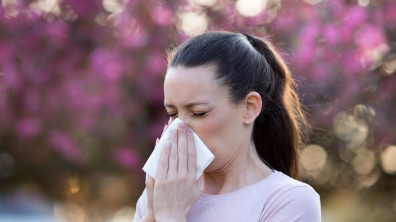 Пролетен вирус или пролетна алергия - как да ги различим