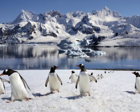 Въпреки минусовите си температури: Антарктида на практика е пустиня