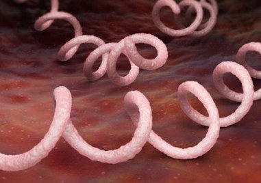 121 души  болни от сифилис са регистрирани от началото на годината