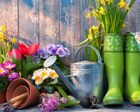 Кога е точното време за пролетното почистване на градината