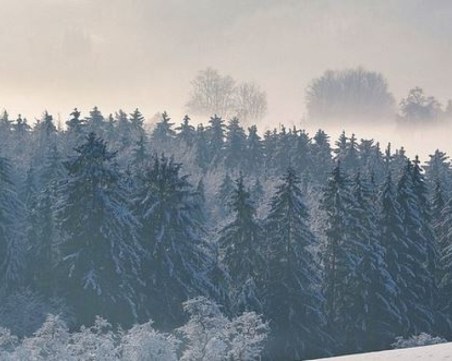 Априлски сняг заваля в Пампорово, пътища в Смолянско побеляха