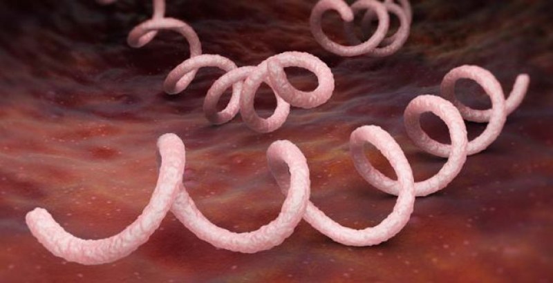 121 души, болни от сифилис, са регистрирани от началото на годината,