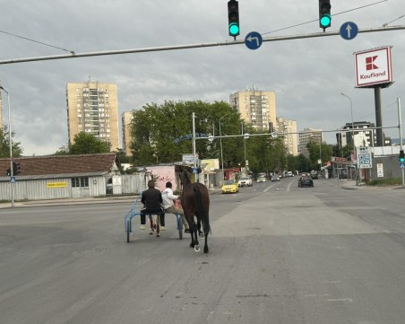 Джигити с двуколка яздят по натоварен път в Пловдив