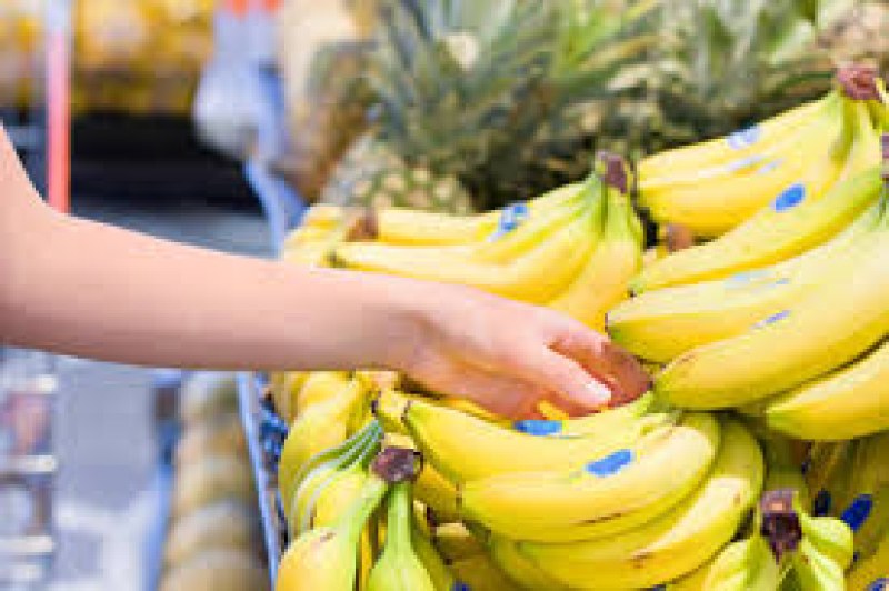Откриха над 200 кг кокаин в щайги с банани в супермаркети в Германия