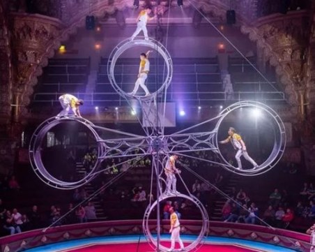 Ужасяващ инцидент: Цирков артист падна от 