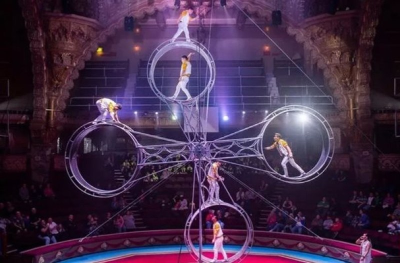 Ужасяващ инцидент: Цирков артист падна от 