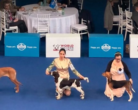 Кучето на кмета на Цалапица стана световен шампион
