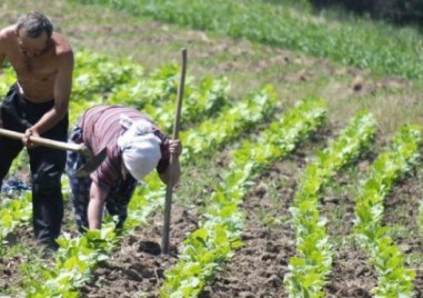 Българският фермерски съюз иска създаването на гаранционен фонд за щети