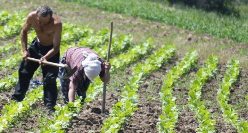 Фермерите искат да се създаде гаранционен фонд при щети в земеделието