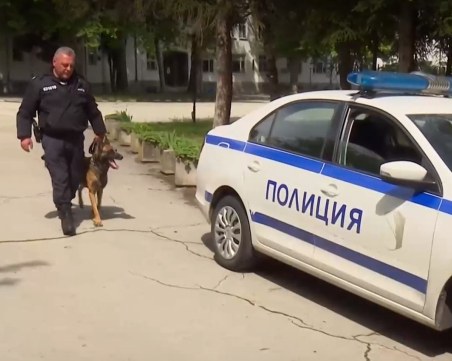 Български полицаи с кучета ще се включат в охраната на Олимпийските игри в Париж