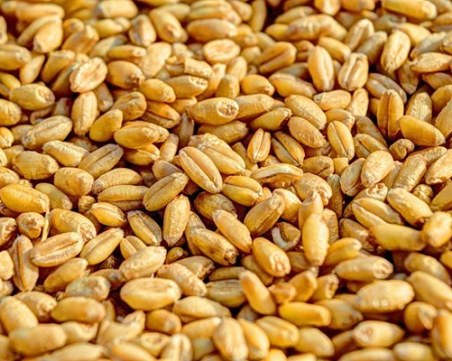 Цените на основните зърнени стоки се успокоиха на световните пазари в края на април