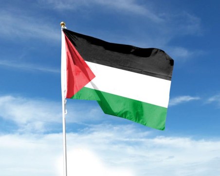 С огромно мнозинство: Общото събрание на ООН подкрепи пълноправното членство на Палестина