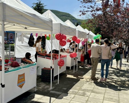 Голям интерес на Фестивала на ягодата в Кричим