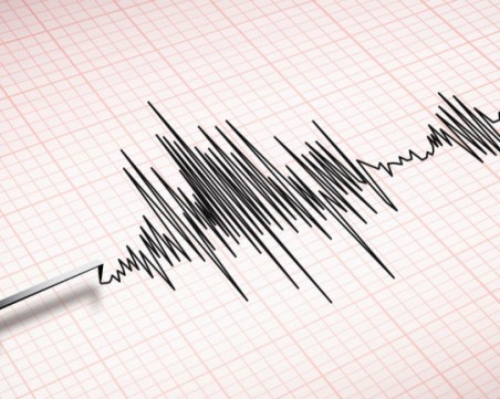 Земетресение с магнитуд 6,4 е регистрирано в Мексико