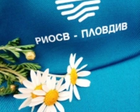 РИОСВ-Пловдив наложи през април санкции и глоби в общ размер на 26 300 лева