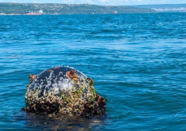 По време на учебно плаване днес екипажът на моторен катер