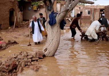 Най малко 50 души са загинали в резултат на проливни дъждове