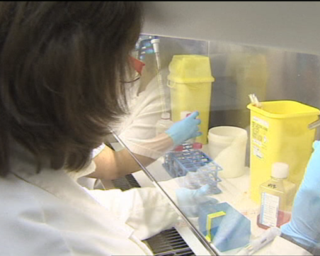 Пускат за клинични изпитания две обещаващи разработки на ваксина срещу СПИН