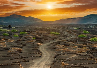 Погледнати от разстояние лозята на испанския остров Лансароте показват малко