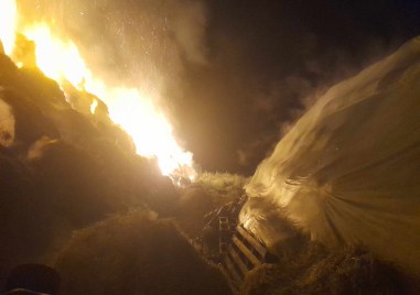 Пазарджишки огнеборци гасиха пожар в открит сеновал с люцерна Сигнал