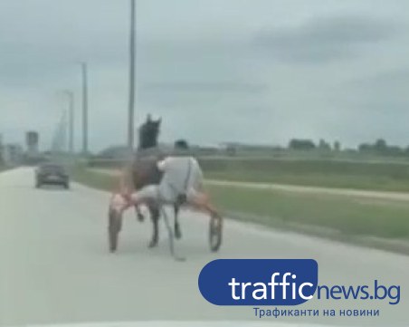 Джигит язди двуколка по натоварен булевард в Пловдив