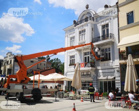 Акция по спасяване на рояк пчели в центъра на Пловдив, отцепиха периметъра