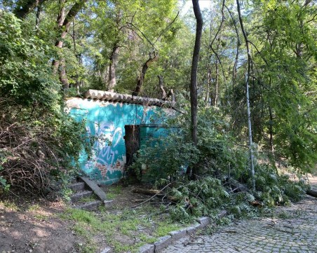 Голямо дърво се стовари върхи разрушената тоалетна на Бунарджика