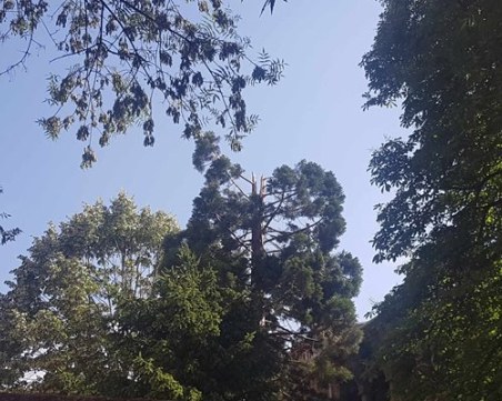 Мълния падна в двора на Софийската митрополия