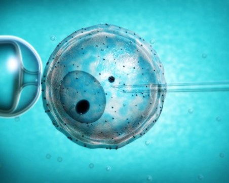 Божествената частица? Учени са близо да създадат човешки яйцеклетки и сперматозоиди