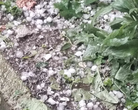 Над 15 земеделски производители са пострадали след градушката в първомайското село Искра