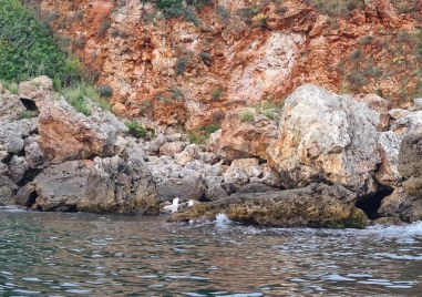 Специализиран екип от Военноморските сили беше активиран днес 4 юни