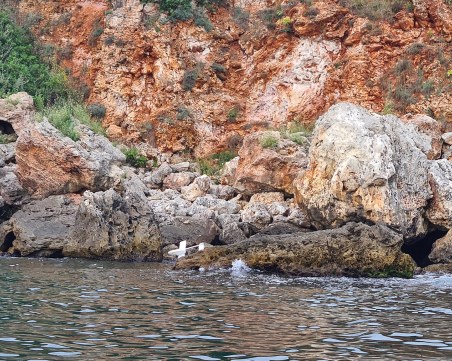 Откриха дрон на скалите между Тюленово и Камен бряг, мястото е отцепено