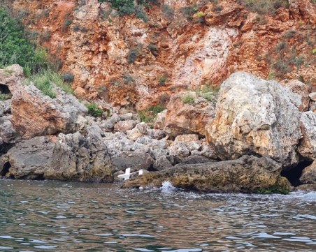 Военни се включиха в акцията по извличане на падналия дрон по Черноморието