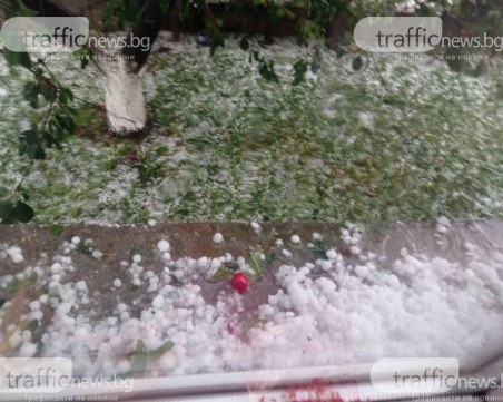 Буря и градушка удариха Хасково и Минерални бани, дърво падна върху кола