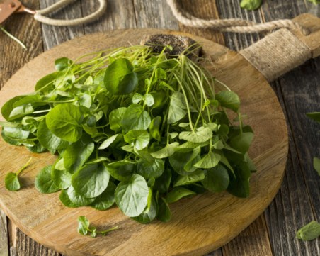 Кресонът - това ли е най-полезният зеленчук