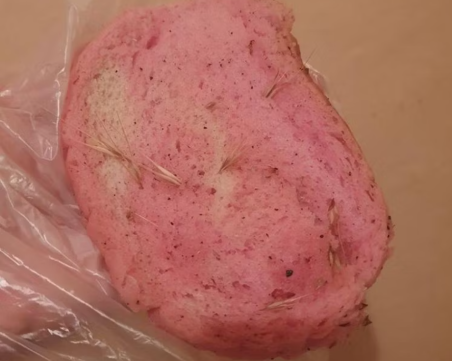 Изверг нахвърля отрова за кучета на редица места в Пловдив, две животни вече са натровени