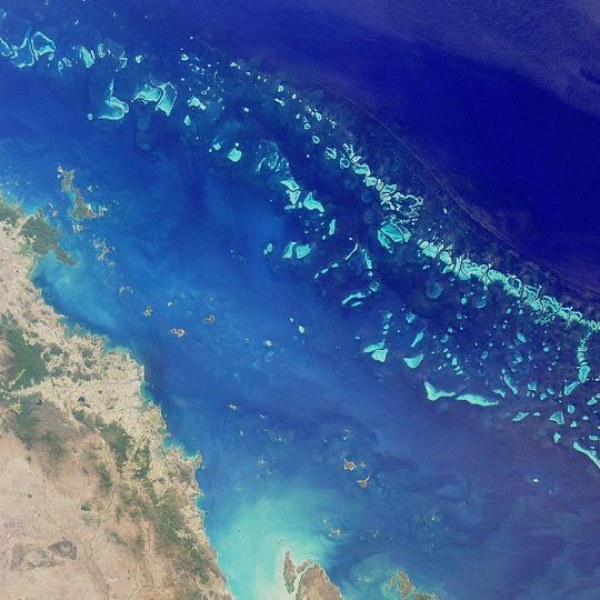 На този ден: Английският мореплавател Джеймс Кук открива Големия бариерен риф край Австралия