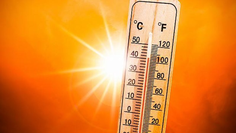За втори пореден ден: Отчетоха нов температурен рекорд от близо 40 градуса в Русе