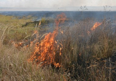Общо 70 пожара са ликвидирани в страната през последното денонощие