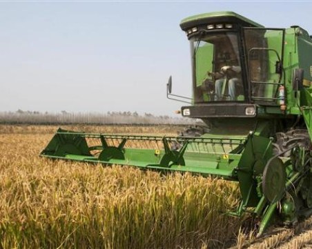 Зърнопроизводители от Пловдивско: Очакваме задоволителна реколта