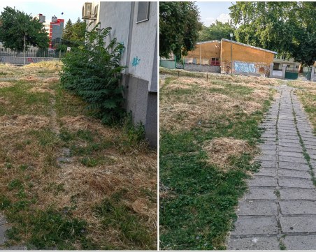 От седмици: Окосени треви гният и се разпръскват из тротоари и улици в Пловдив