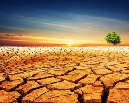 На този ден: Отбелязваме световния ден за борбата със сушата