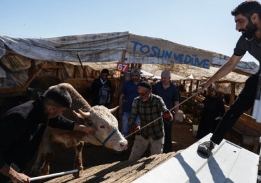 Любители месари са ранени в Турция  Това се е случило