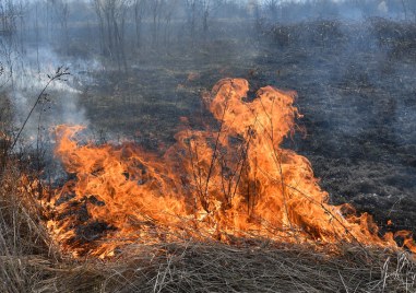 Потушени са общо 76 пожара в страната през изминалото денонощие